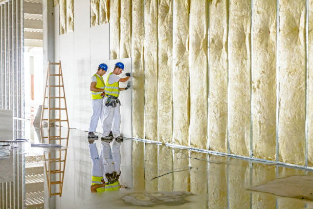 Professional Insulation Contractor in Horse Shoe, NC